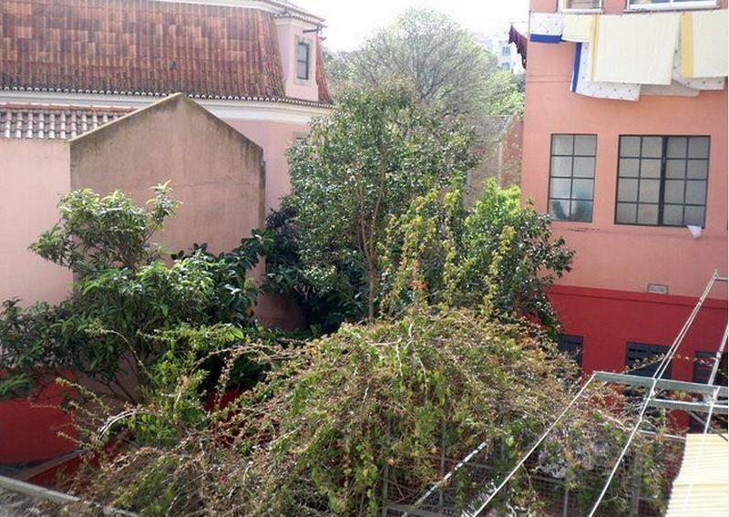 Apartamento Estrela Cozy Lisboa
